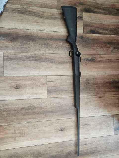 winchester model 70 300 win mag