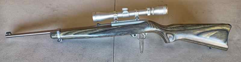 Ruger 10/22 SS Laminated Stock 1992