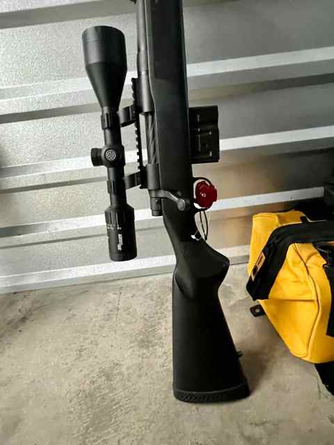 Mossberg Scout 308