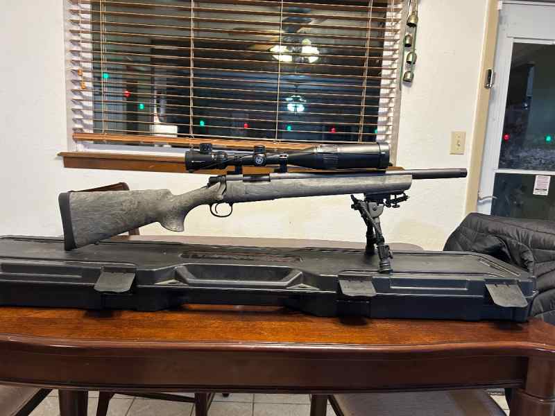 Rem700 sps .308