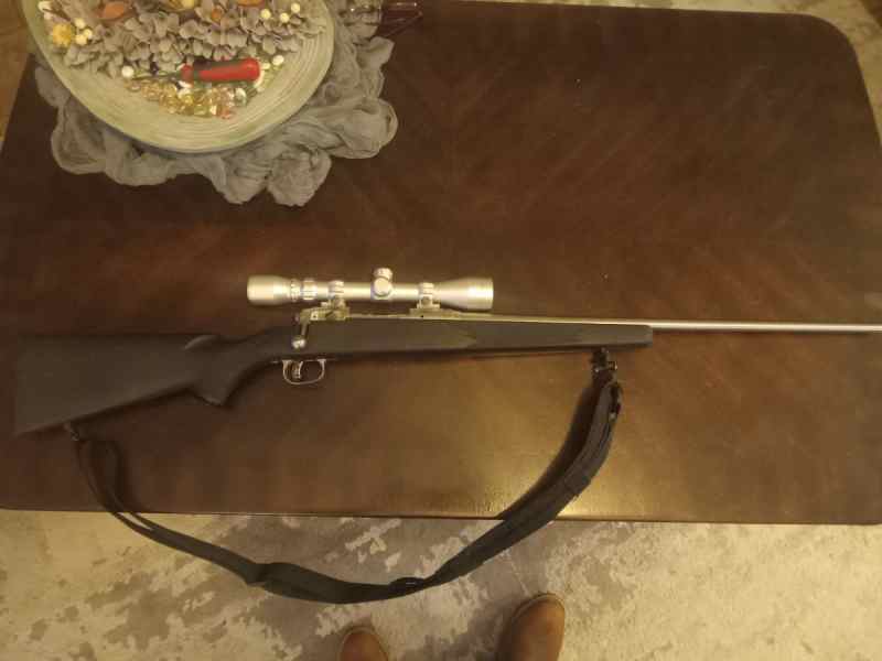 Stainless Savage 16 .204 Ruger