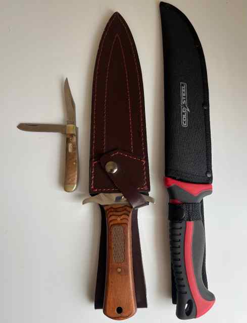 Buy 3 for the price of 1