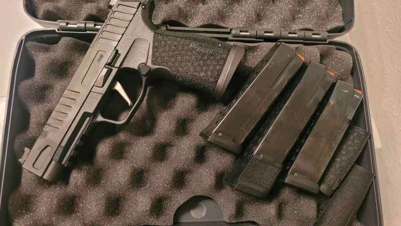 Sig P365 Fuse