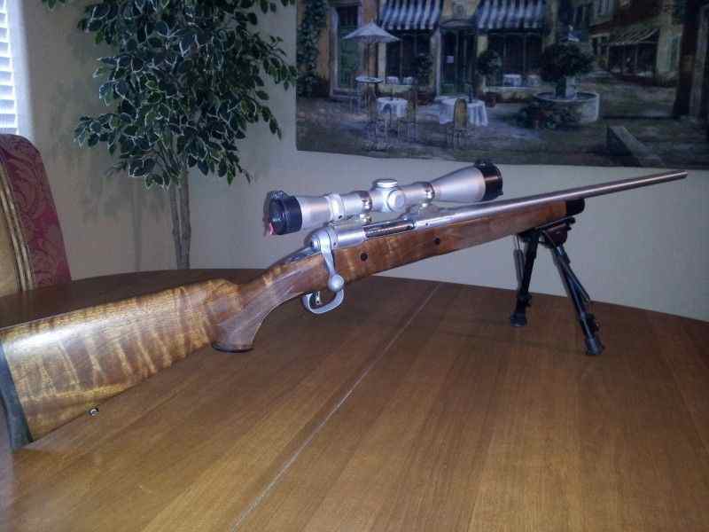 Savage Model 14 American Classic 