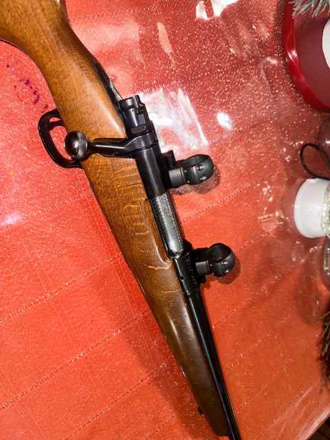 Winchester model 70 243win