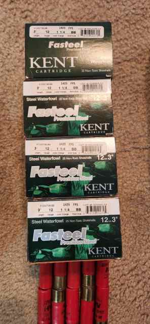 Kent fasteel waterfowl 3in BB shell