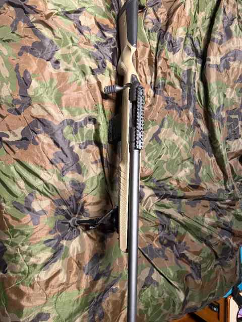 Savage Model 10 .308