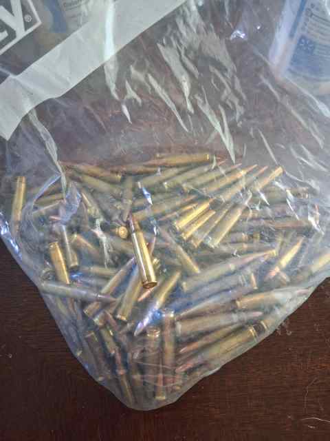 180 rounds of loose .223 ammo.