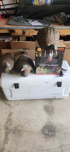    4 ..  TERKEY DECOYS 