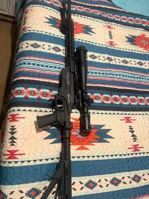 Savage chassis gun 308 safe clean out