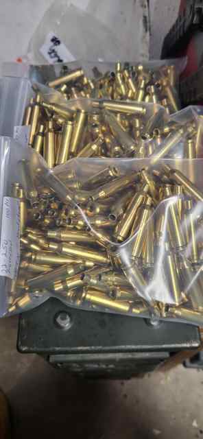 Primed 22-250 brass