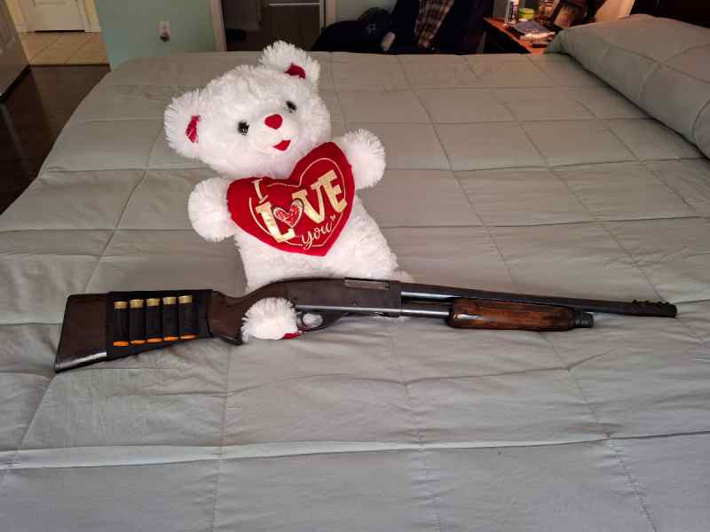 Home Defense 12 ga and like new 410 semi-auto